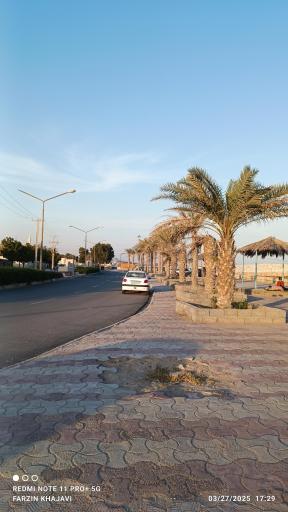 عکس بندر کنگ