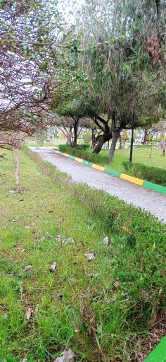 عکس پارک نگین