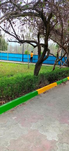 عکس پارک نگین