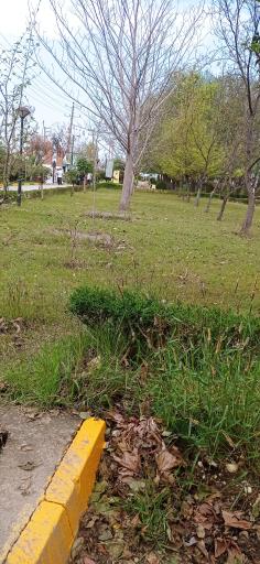 عکس پارک نگین