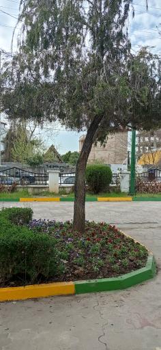 عکس پارک نگین