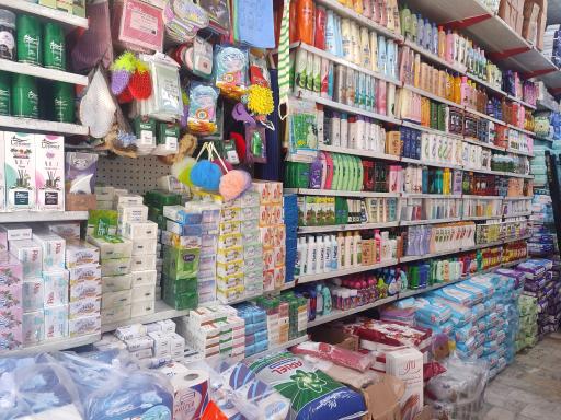 شوینده بهداشتی علی