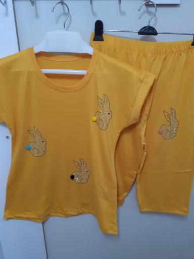 عکس پوشاک پانیذ