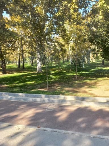 عکس بوستان ملت