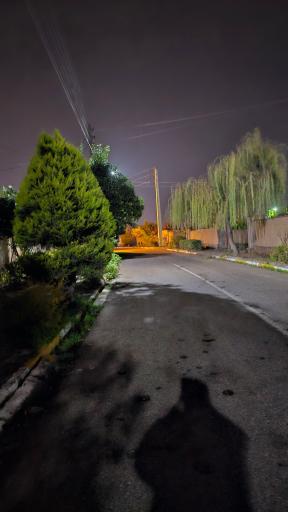 عکس دیوکلا سفلی
