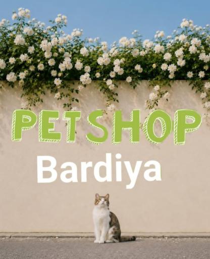 عکس پت شاپ گربه سگ