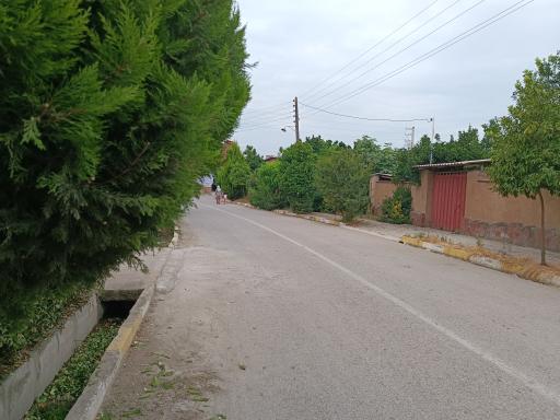 عکس دیوکلا سفلی