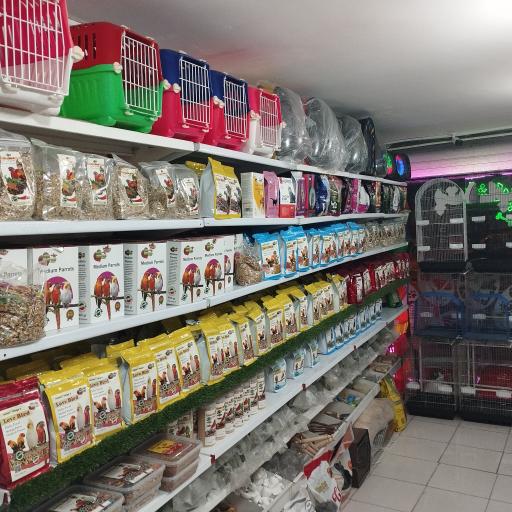 عکس پت شاپ احمدی