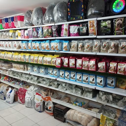 عکس پت شاپ احمدی