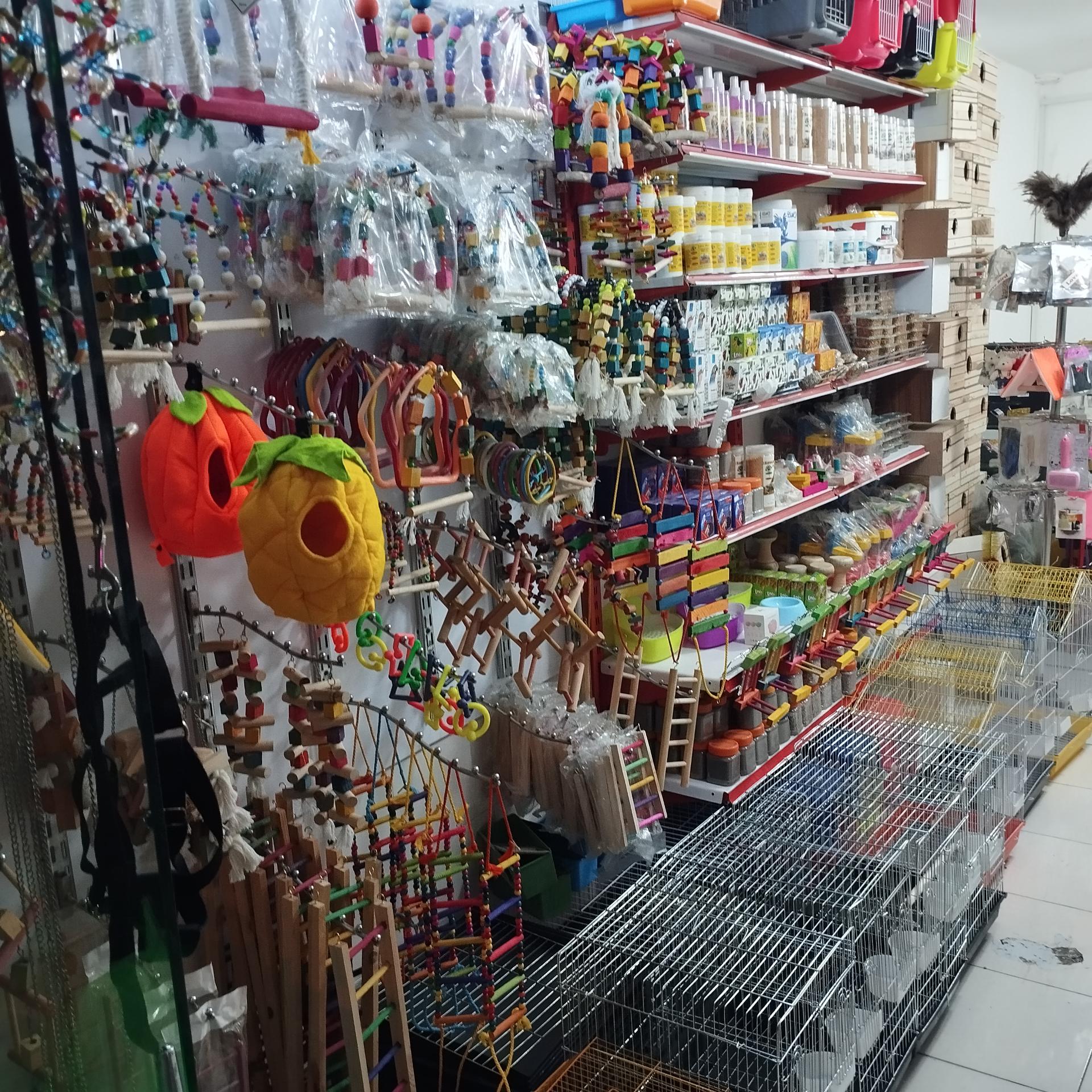 عکس پت شاپ احمدی