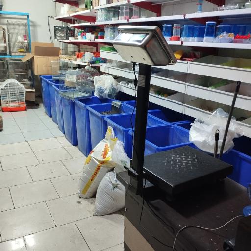 عکس پت شاپ احمدی