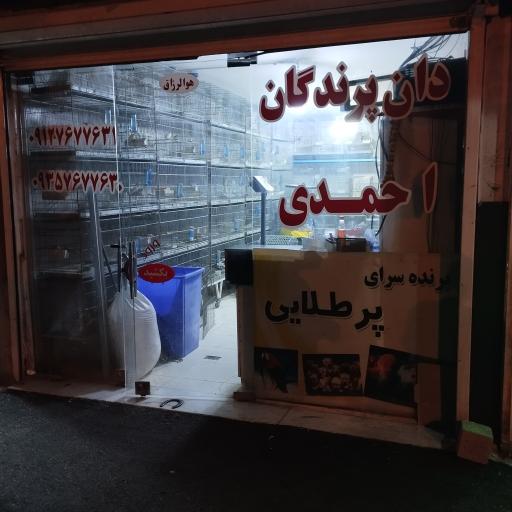 عکس پت شاپ احمدی