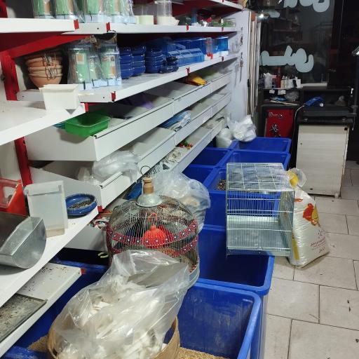 عکس پت شاپ احمدی