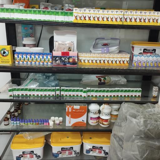 عکس پت شاپ احمدی