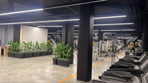 عکس باشگاه بدنسازی یونیک پاور