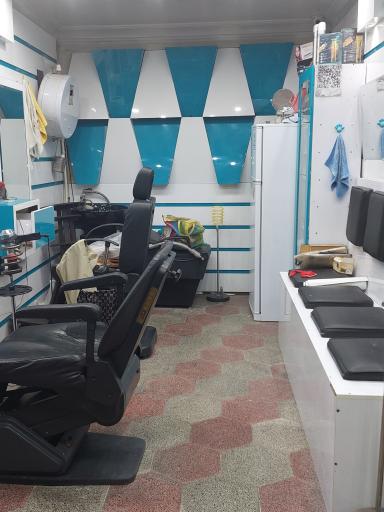 عکس پیرایش برمودا 