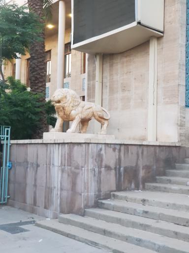 بانک ملی ایران شعبه بازار