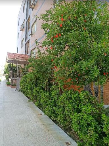 عکس مجتمع فرهنگیان قائم آل محمد عج (نصرت آباد)