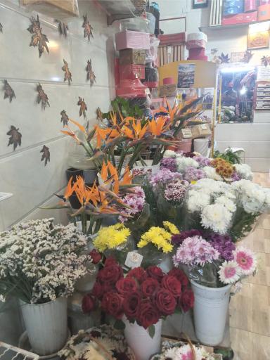 عکس گل فروشی گلستانک رضا 