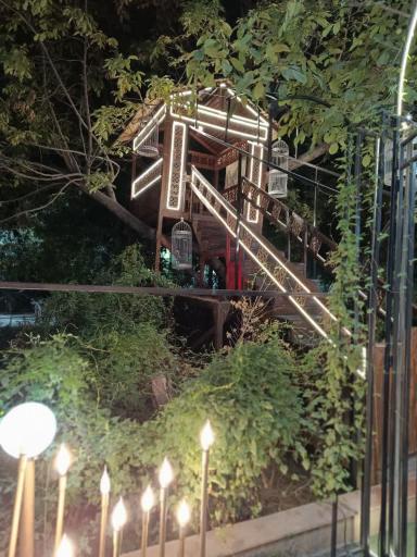 عکس باغ تالار سمیعی