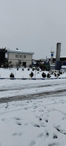 عکس اکسیژن مروارید درخشان