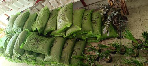 عکس گلکده ترنه