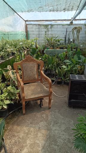 عکس گلکده ترنه