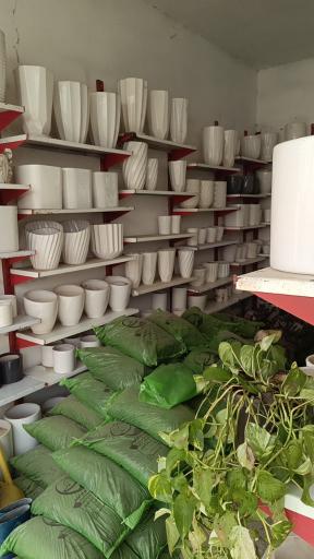 عکس گلکده ترنه