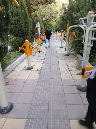 عکس بوستان کاج