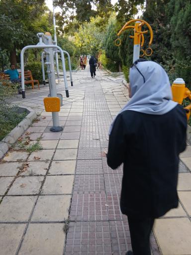 عکس بوستان کاج