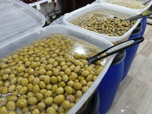 عکس زیتون سرای تاج شمال