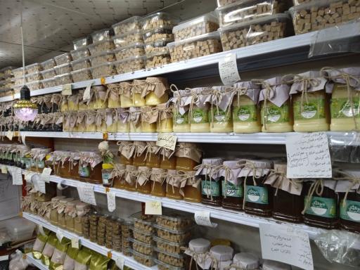 عکس زیتون سرای تاج شمال