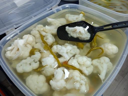 عکس زیتون سرای تاج شمال