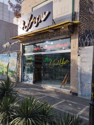 عکس گیاهان دارویی سرگل