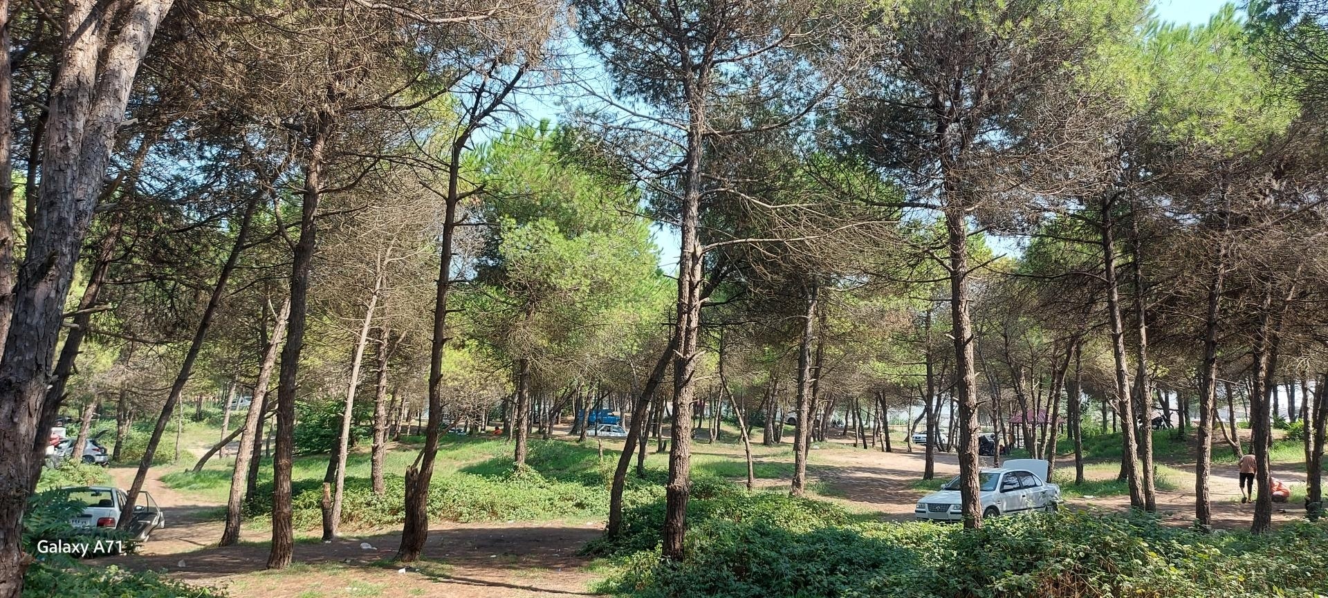 عکس پارک تفریحی و کمپینگ