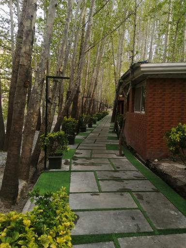 عکس رستوران صالحی