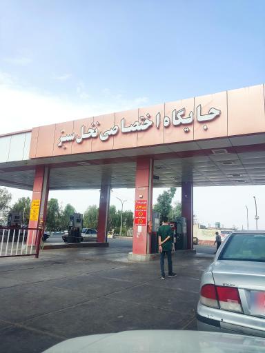 عکس پمپ بنزین نخل سبز