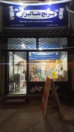 عکس برنج شالیزار 