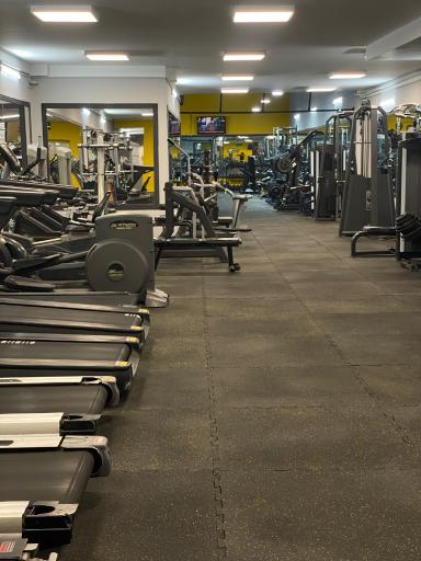 عکس باشگاه بدنسازی پدیده غرب