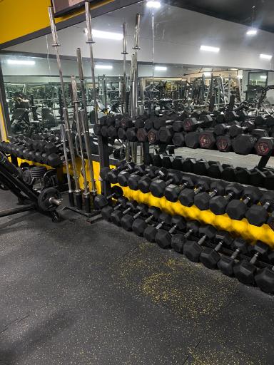 عکس باشگاه بدنسازی پدیده غرب