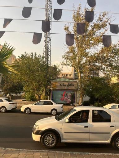 عکس گل سایه