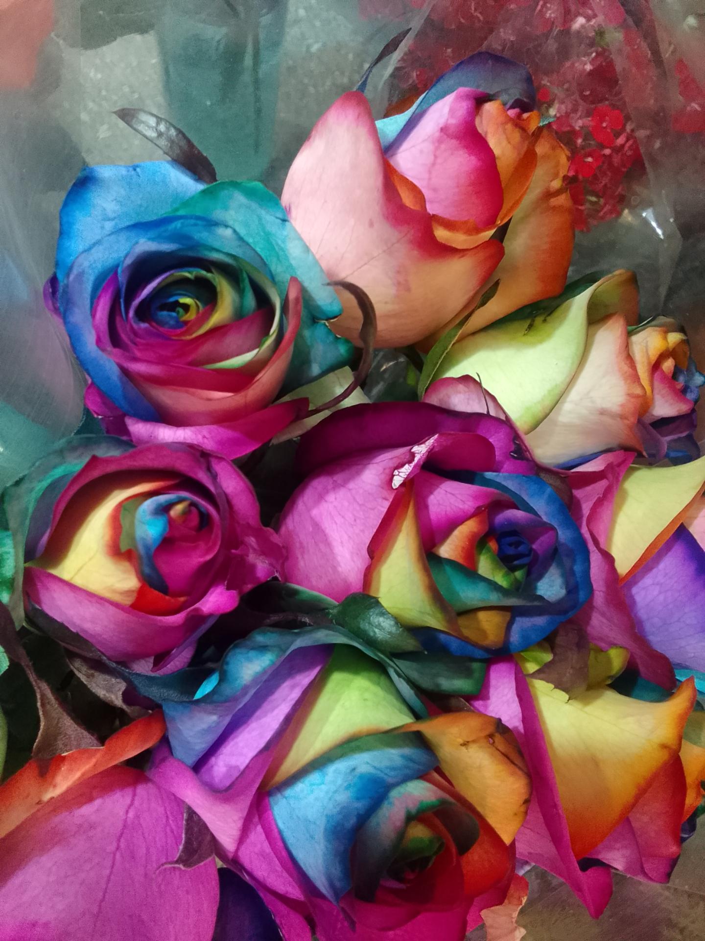 عکس گلفروشی متروگل