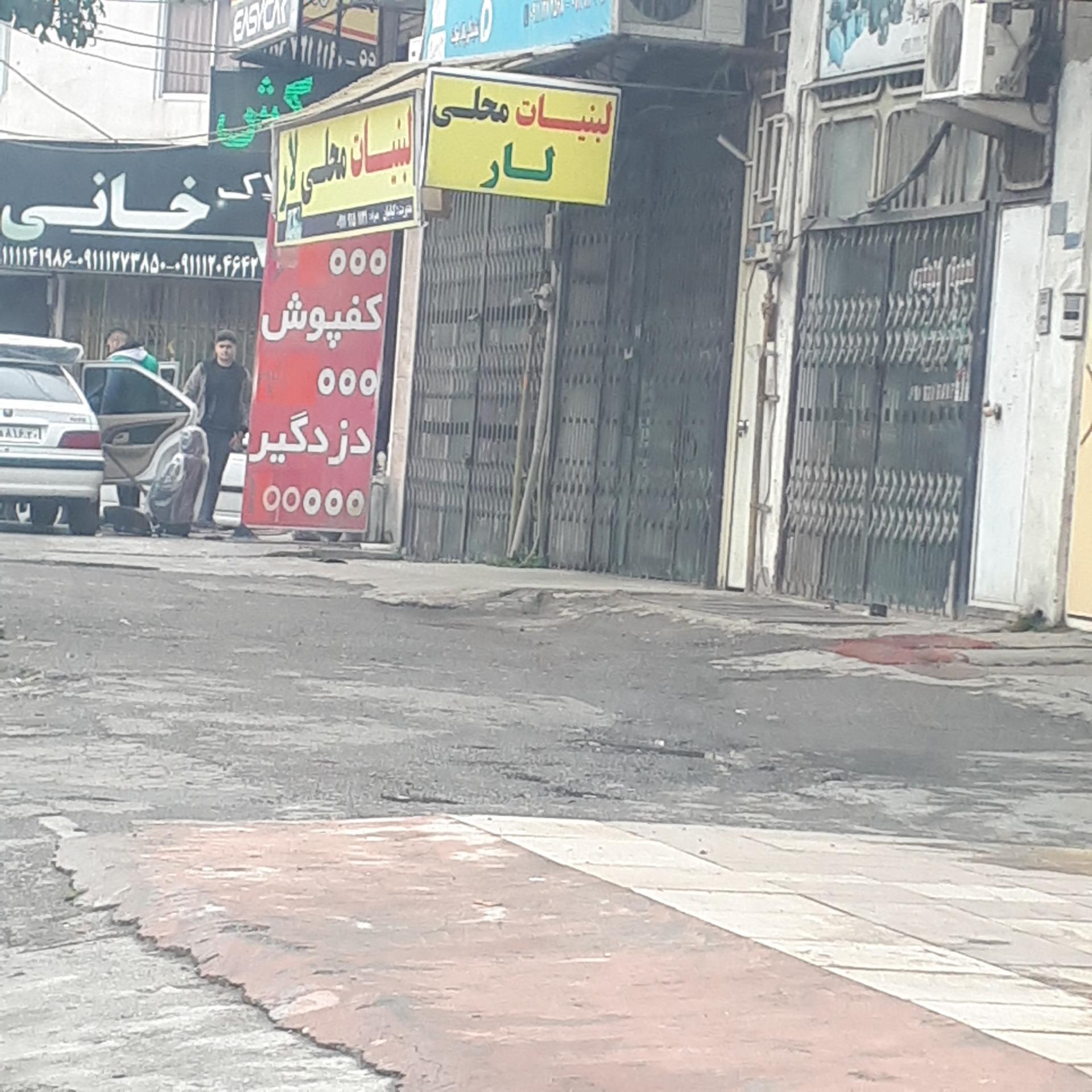 عکس لبنیات لار