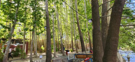 عکس رستوران صالحی