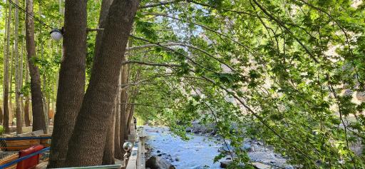 عکس رستوران صالحی