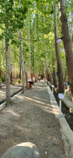 عکس رستوران صالحی