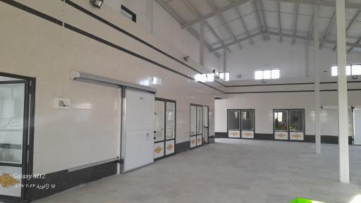 عکس ترچک ماهی لرستان