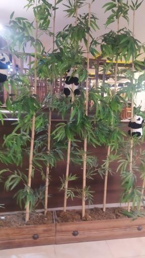 عکس رستوران ژوانی