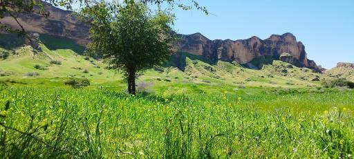 عکس تفرجگاه زیبای دز