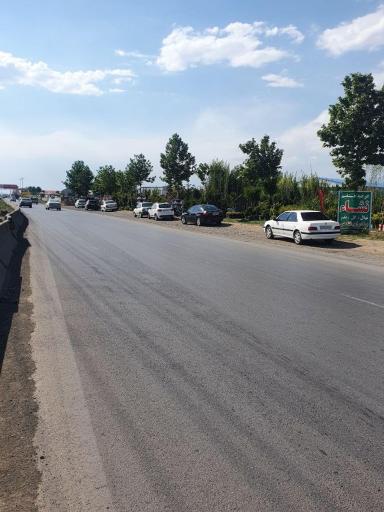 نهالستان و گلخانه برادران فتاحى